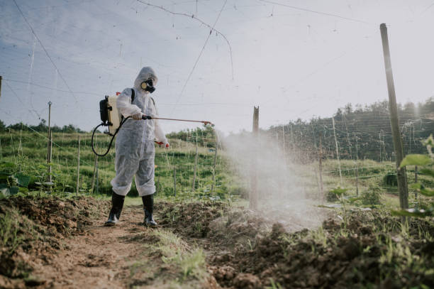 Best Commercial Pest Control Services  in Volga, SD