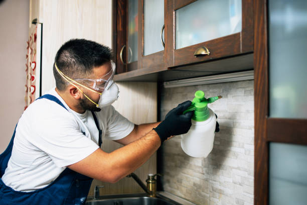 Best Exterminator Services  in Volga, SD