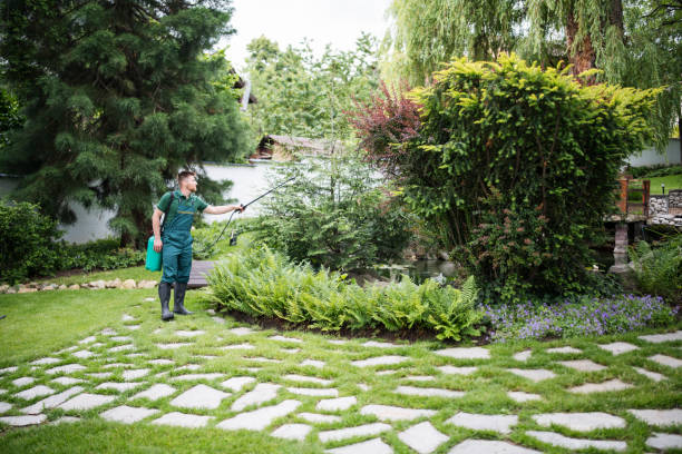 Best Pest Inspection Near Me  in Volga, SD