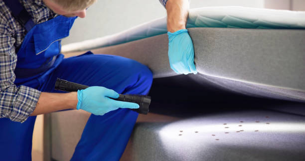 Professional Pest Control in Volga, SD
