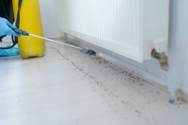 Best Pest Control Near Me  in Volga, SD
