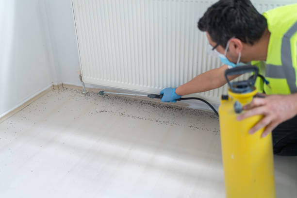 Best Best Pest Control Companies  in Volga, SD