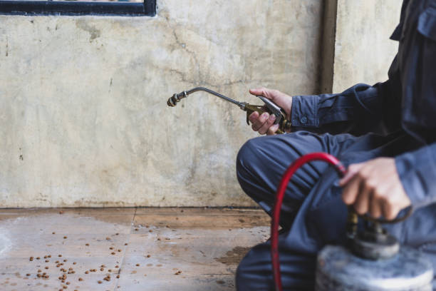 Best Mosquito Control Services  in Volga, SD
