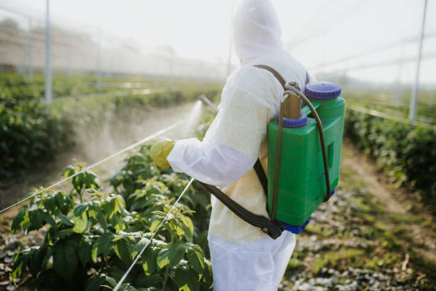 Best Bed Bug Extermination  in Volga, SD